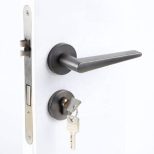 Modern Matte Black Zinc Alloy Door Handle